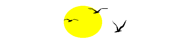 an1.gif